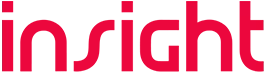 Remote Page Insight IT Logo