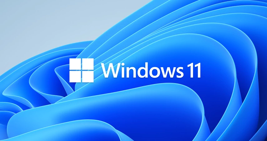 Windows 11 official background.